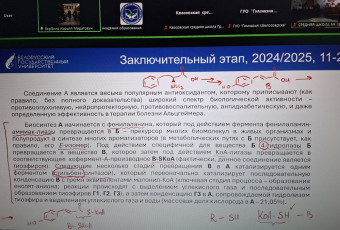 2026 03 05